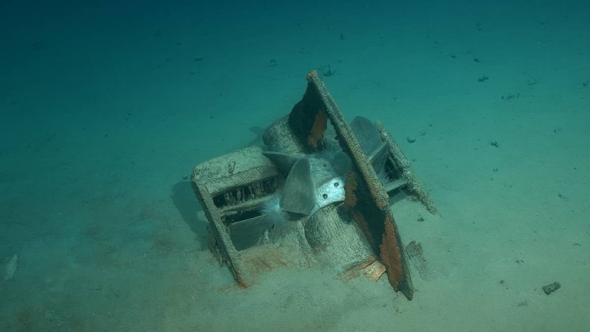 1917’den beri kayıp olan ‘hazine’ bulundu: 108 yıllık gizem çözüldü