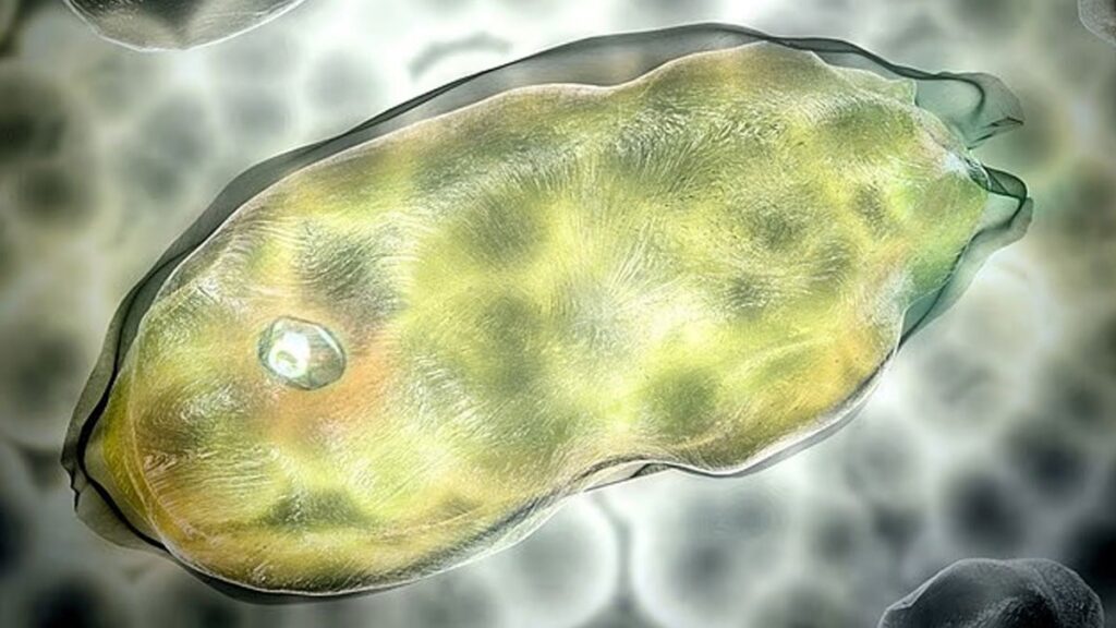 40 bin yıllık mikrop hortladı: Yeni salgın endişesi