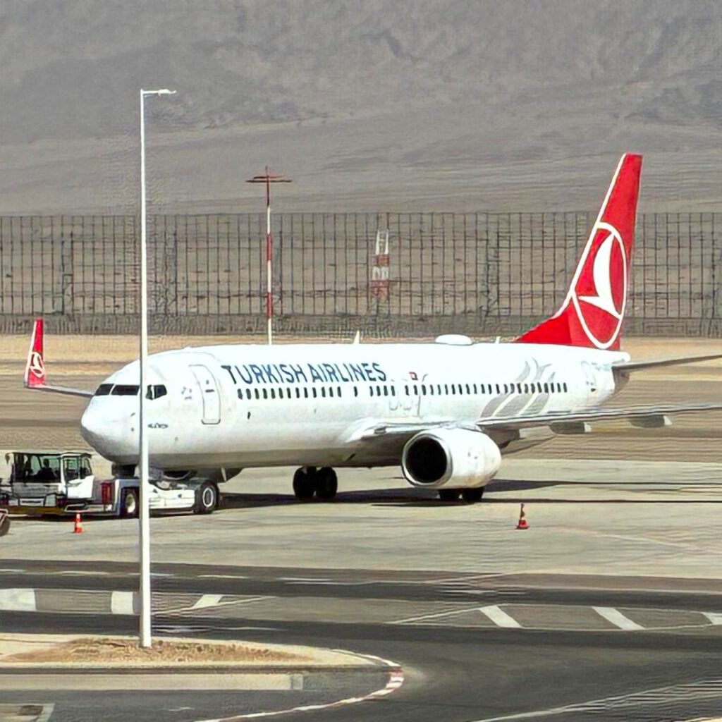 Aktivistler Türkiye’ye getirildi