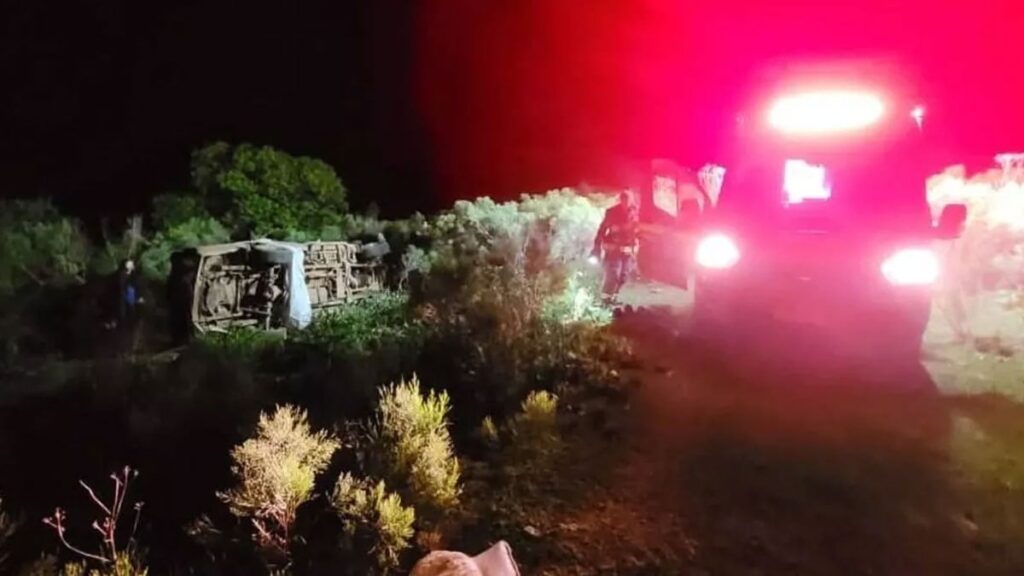 Arılar baba ve kızı hayattan kopardı