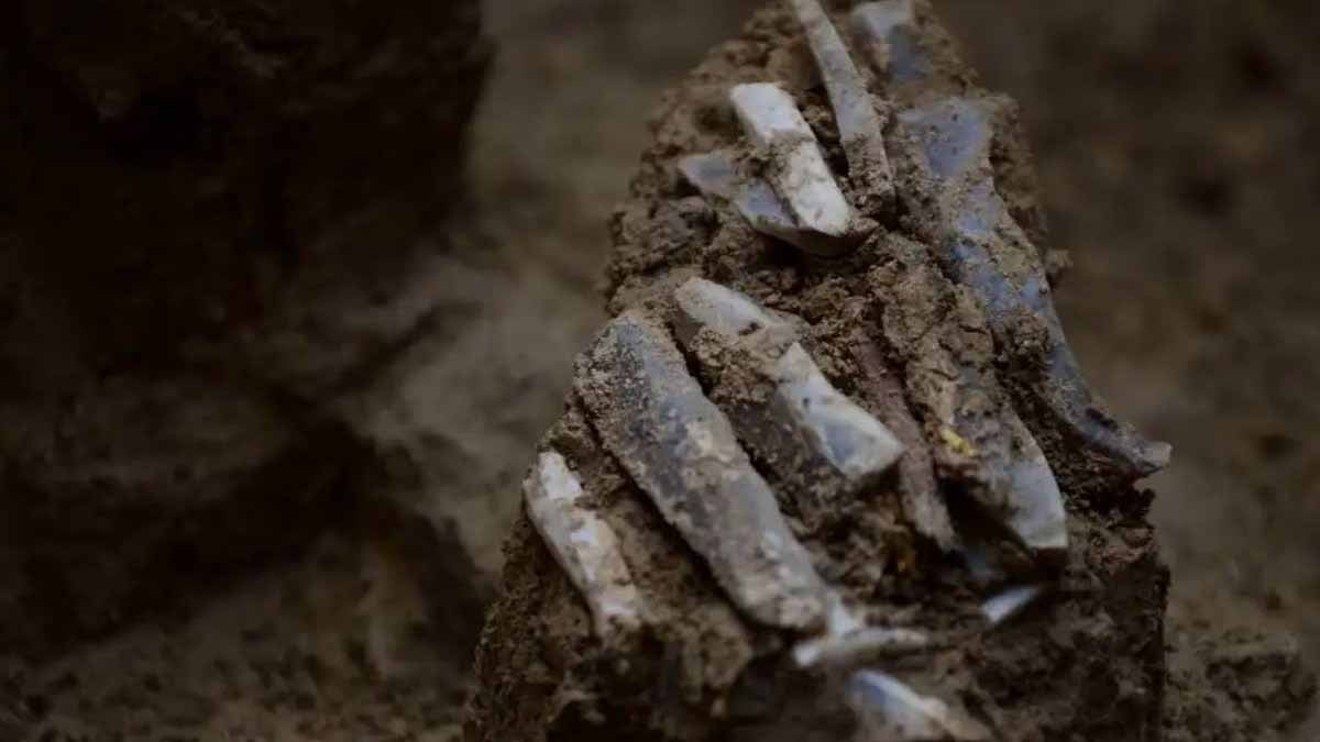 Arkeologlar, avcıların ne taşıdığını gösteren 30.000 yıllık alet çantasını ortaya çıkardı