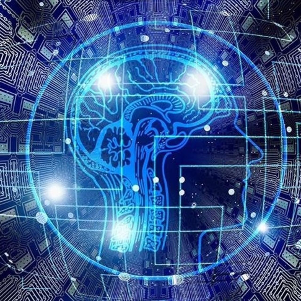 Beş kişiden biri yapay zeka kullanıyor