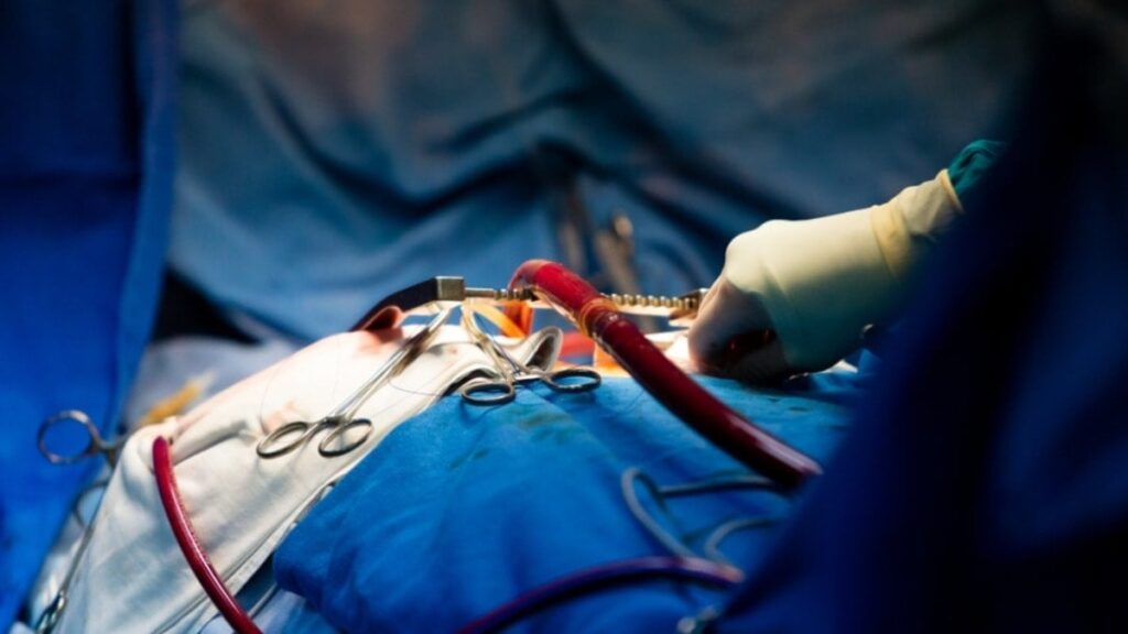 Böbrek naklinde beklemeyi bitirecek gelişme! Bilim insanları organın kan grubunu değiştirdi