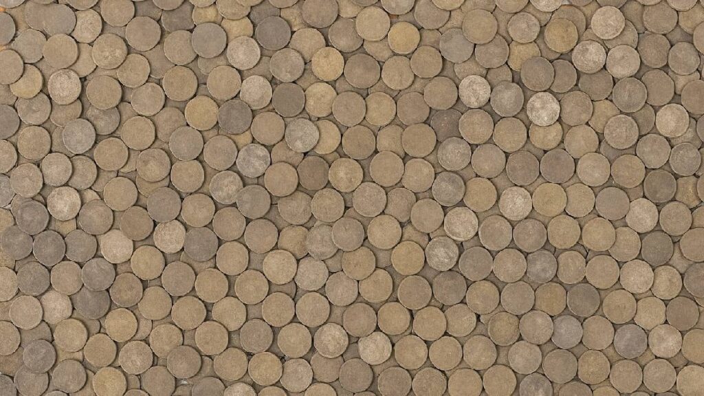 Bulduğu hazineyi sakladı, 8 yıl sonra açıkladı: 2 bin yıllık sevet ortaya çıktı