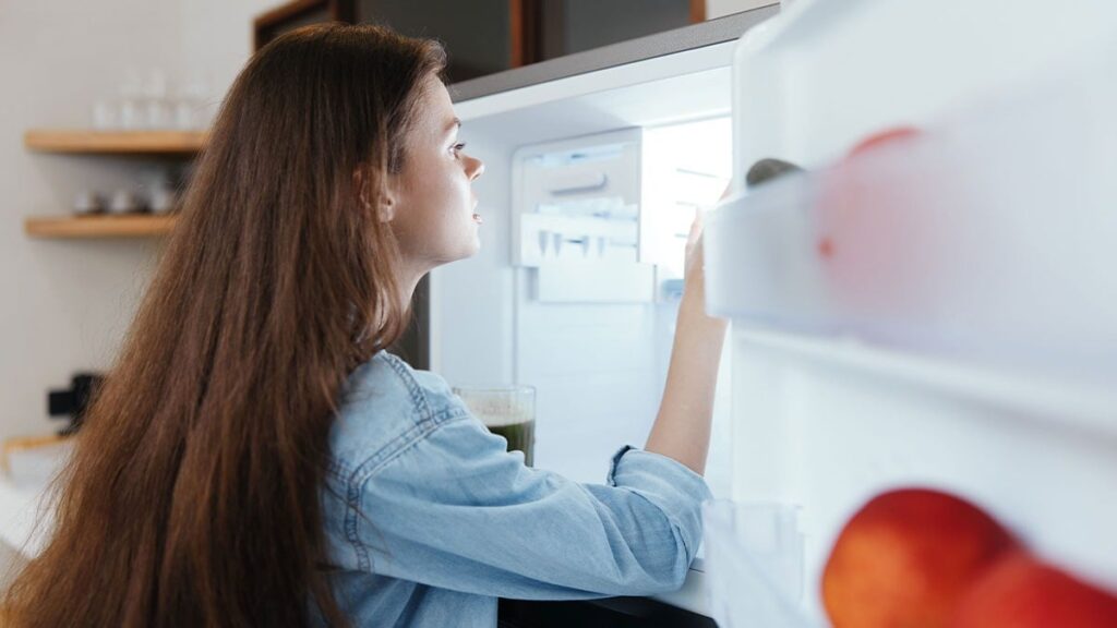 Buzdolabından yemekler teker teker kayboluyordu: Gerçeği öğrenince dumura uğradı