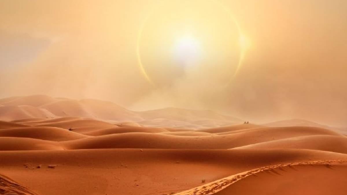 Çölün ortasında dev rezerv: Külçe külçe altın bulundu