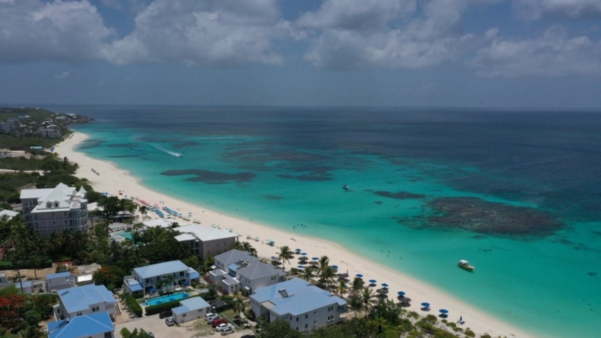 Derin denizden gelen sürpriz: Badem büyüklüğünde yarı saydam yengeç keşfedildi