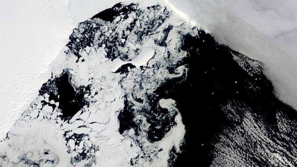 Dünyanın en yaşlı hayvanı Antarktika’da bulundu, yaklaşık 2 metre boyunda