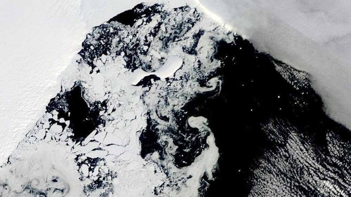 Dünyanın en yaşlı hayvanı Antarktika’da bulundu, yaklaşık 2 metre boyunda