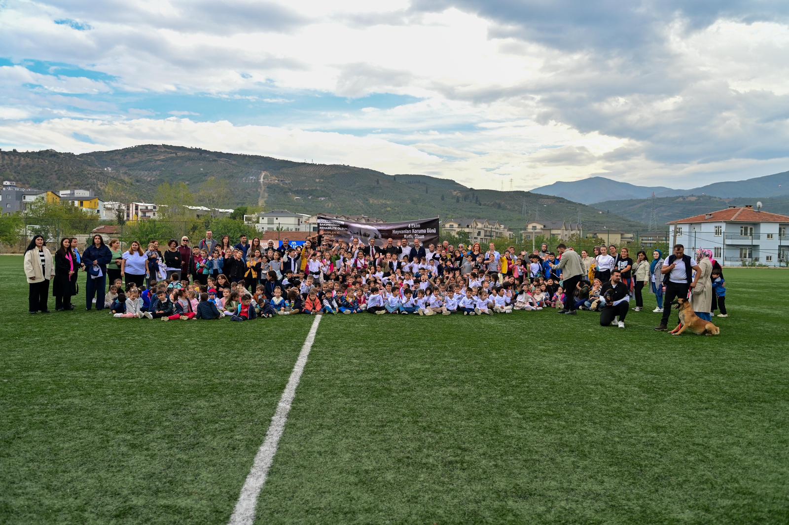 Gemlik Belediyesi’nden Hayvan Rehabilitasyonunda Bir İlk: “Önce Eğit, Sonra Sahiplendir”