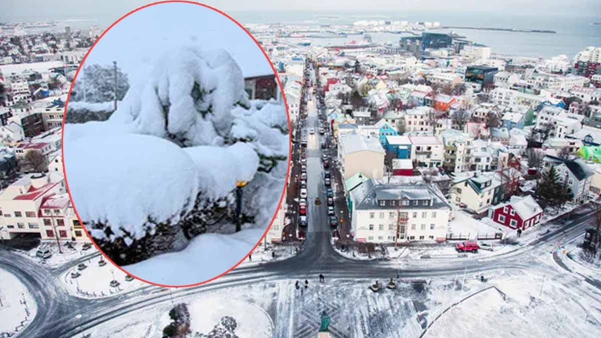 İzlanda felç oldu: 100 yıldır böyle bir şey yaşanmamıştı