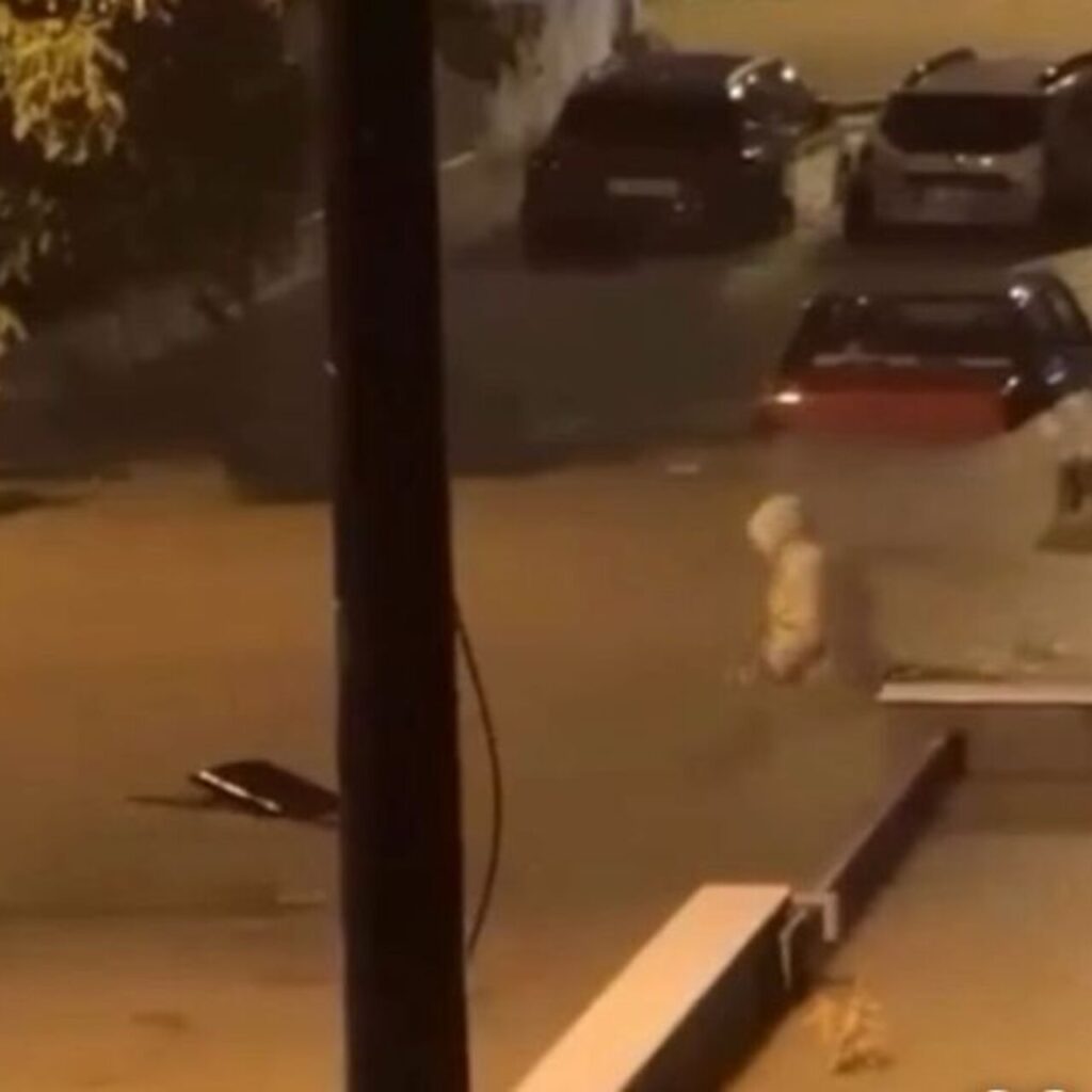 İzmir ve Manisa’da sağanak yağış etkili oldu