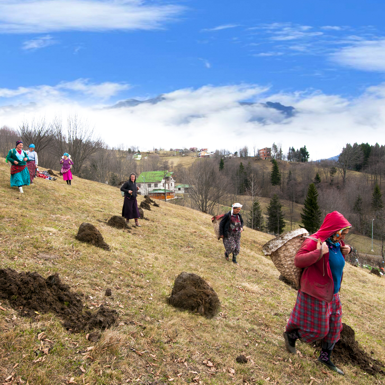 Karadeniz’in nemindeki sinsi tehlike! “Çiftçi akciğeri” kronikleşebilir