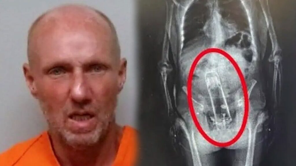 Röntgende çıkan gerçek polisleri dumura uğrattı: Operasyonla zar zor alındı