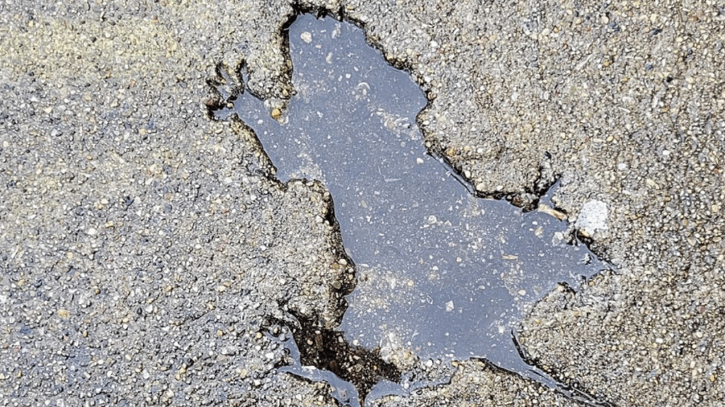 Şehrin göbeğindeki esrarengiz izin gizemi çözüldü: Herkes içine para atıyordu