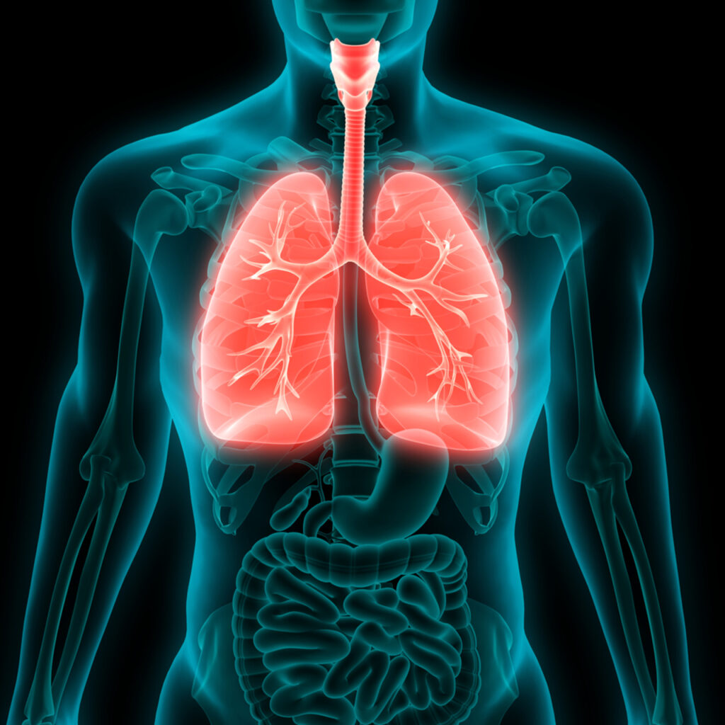 Sigarayı bırakmayı kolaylaştıran 6 öneri