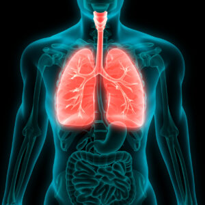 Sigarayı bırakmayı kolaylaştıran 6 öneri