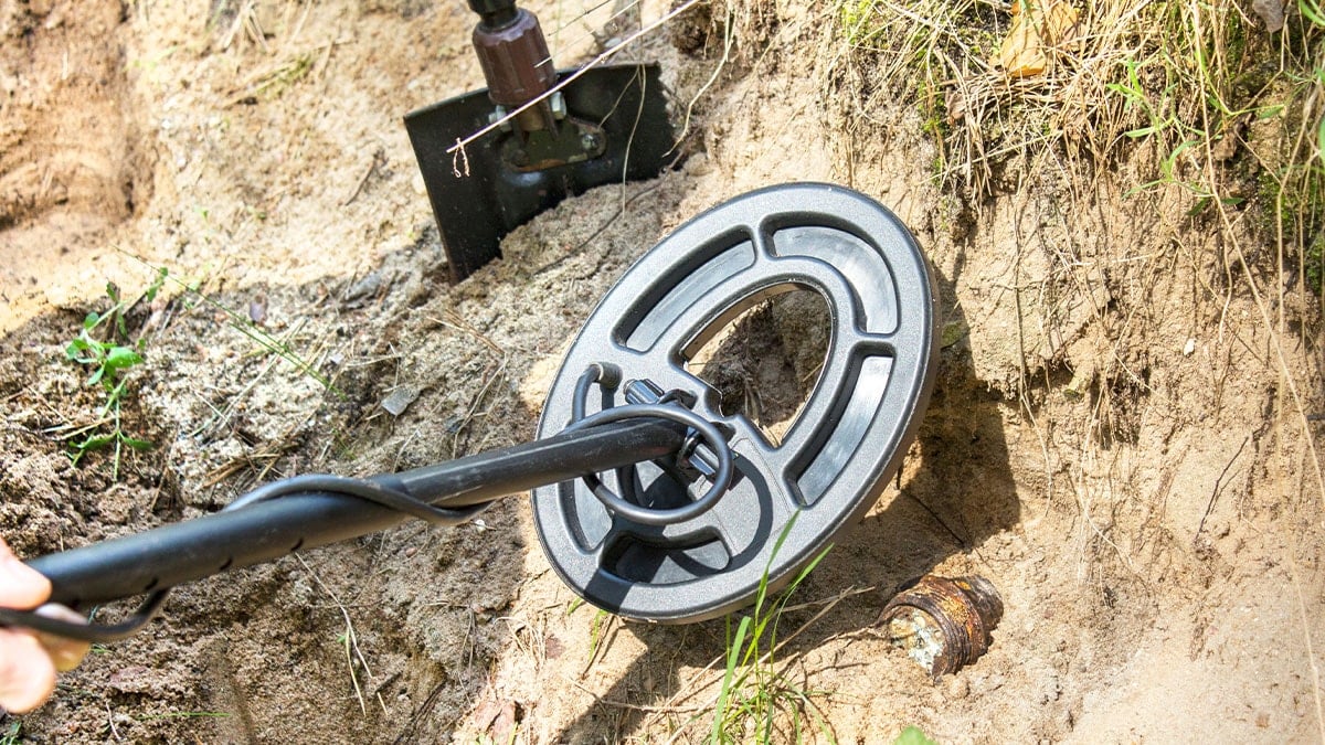 Tarladan çıktı ülke ayağa kalktı: Alabilmek için para topluyorlar