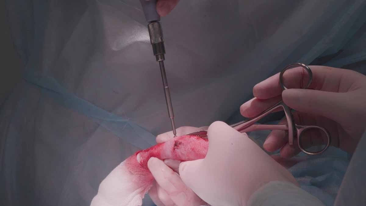 Toyota Corolla’da penis büyütme operasyonu yaparken yakalandı!