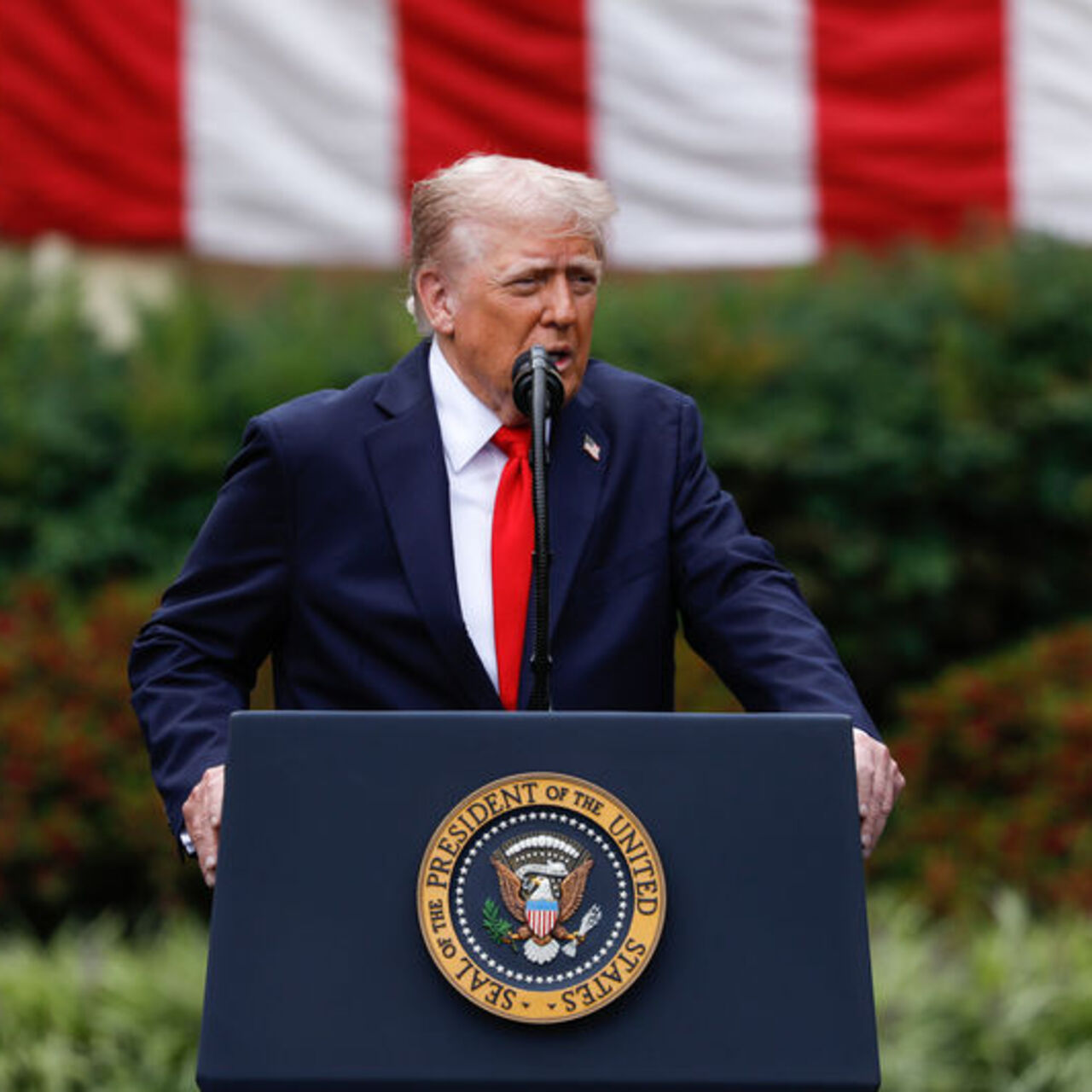 Trump: İstikrar gücü yakında Gazze’de olacak