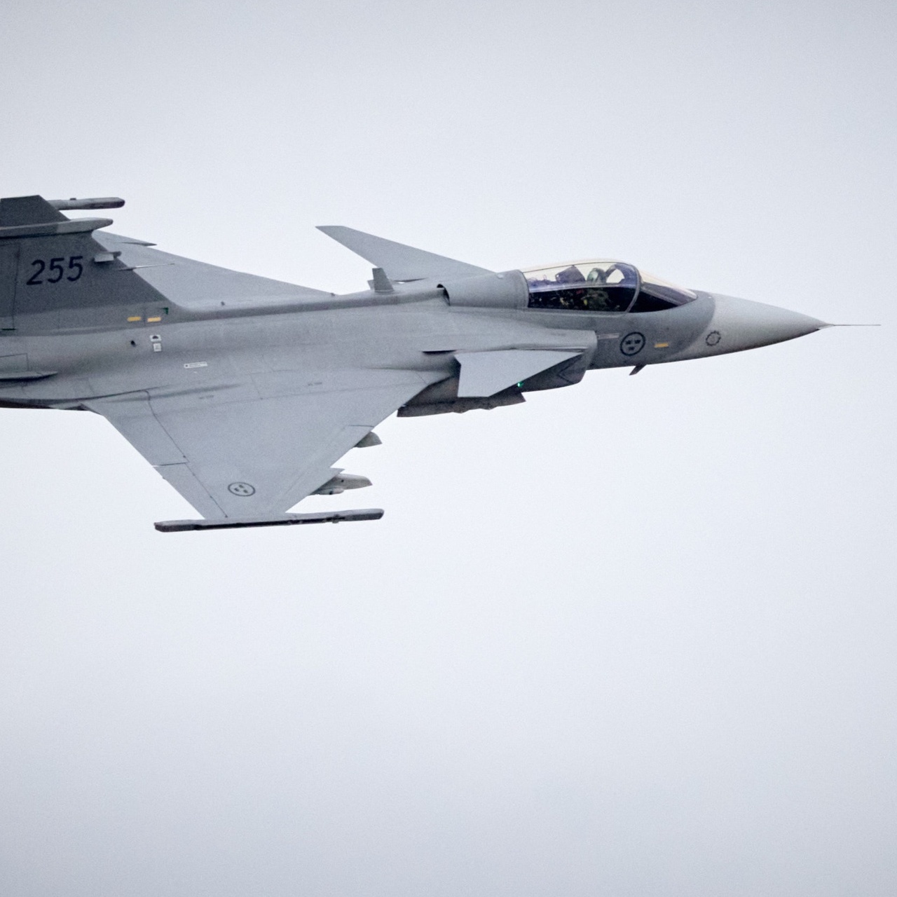 Ukrayna Gripen savaş uçağı tedarik edecek