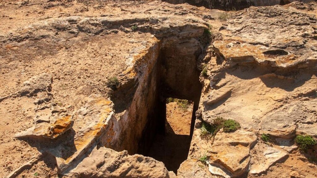 Ülkenin en büyük hazinesini buldu: Çalınmasın diye arabasında uyudu