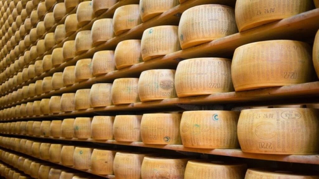 Ünlü peynirin içinden çip çıktı