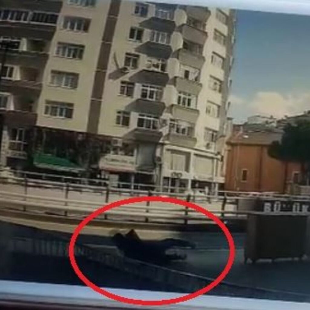 Yere düşünce yakayı ele verdi