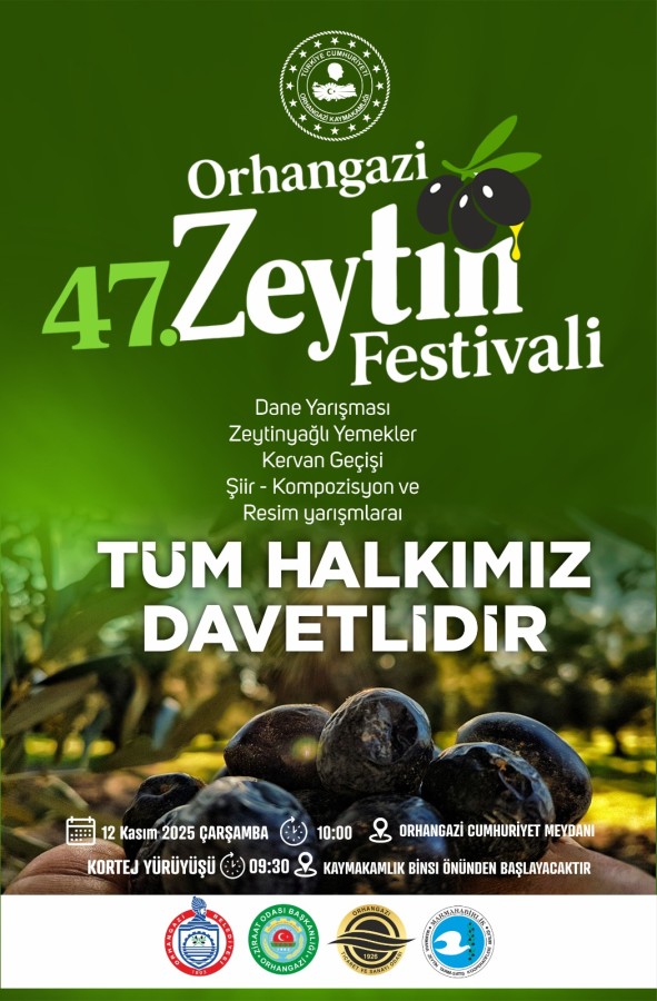 47. Orhangazi Zeytin Festivali Başlıyor: Zeytin Bahçelerinden Dünyaya Yayılan Lezzet