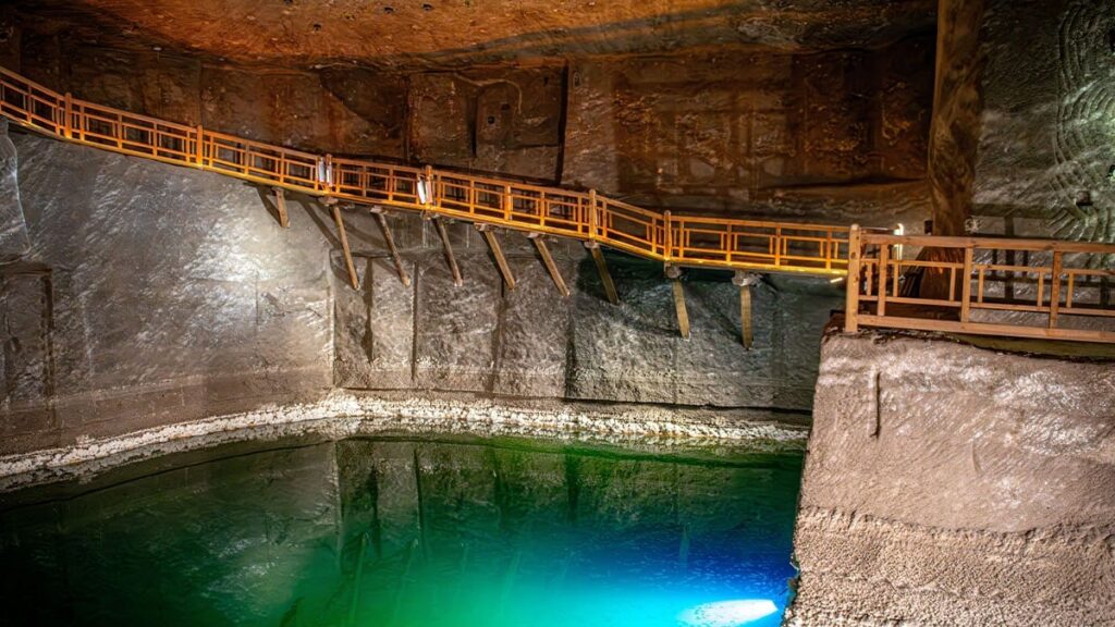 Ayda 15 bin ton ‘beyaz altın’ üretecekler