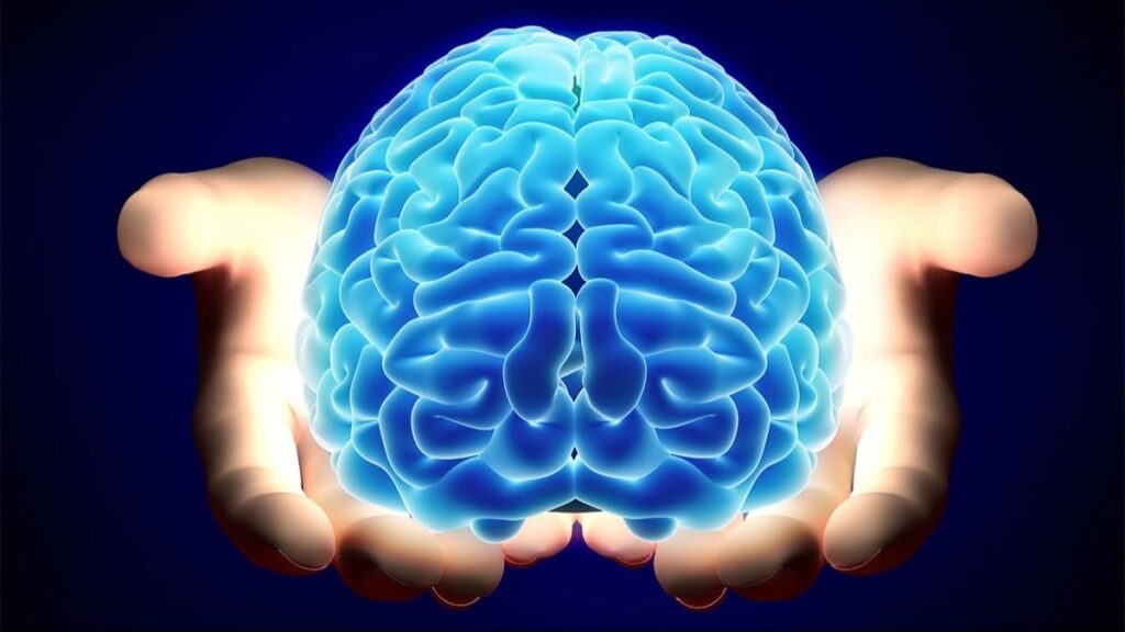 Beyninizin iyi çalışıp çalışmadığını nasıl anlarsınız?