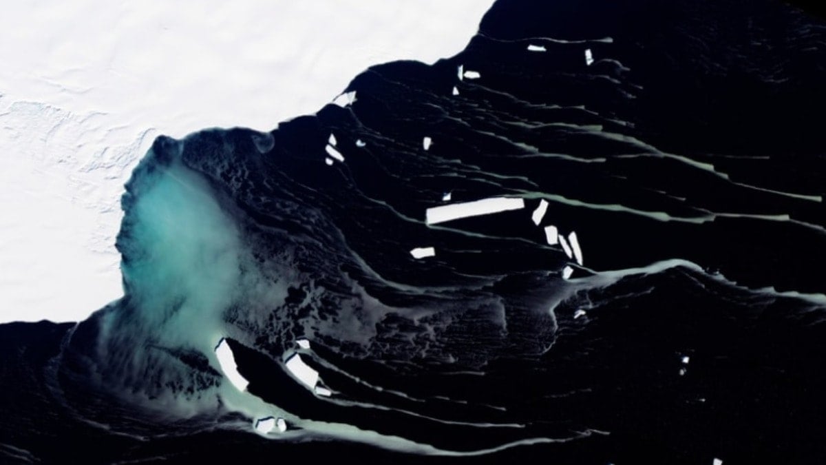 Buzun 450 metre altında tuhaf bir hayvan sürüsü tespit edildi