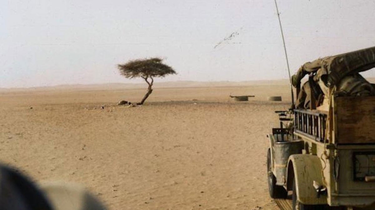 Çölün ortasında durup doğaya meydan okudu: Bilim insanları açıklayamadı