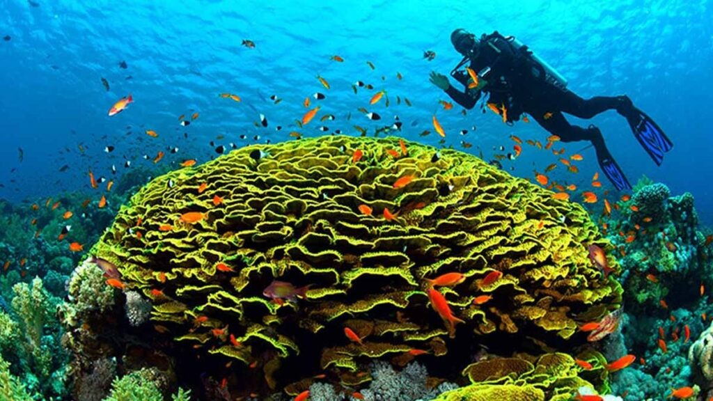 Denizdi, tuz çölüne döndü, sel baskınıyla yeniden deniz oldu!