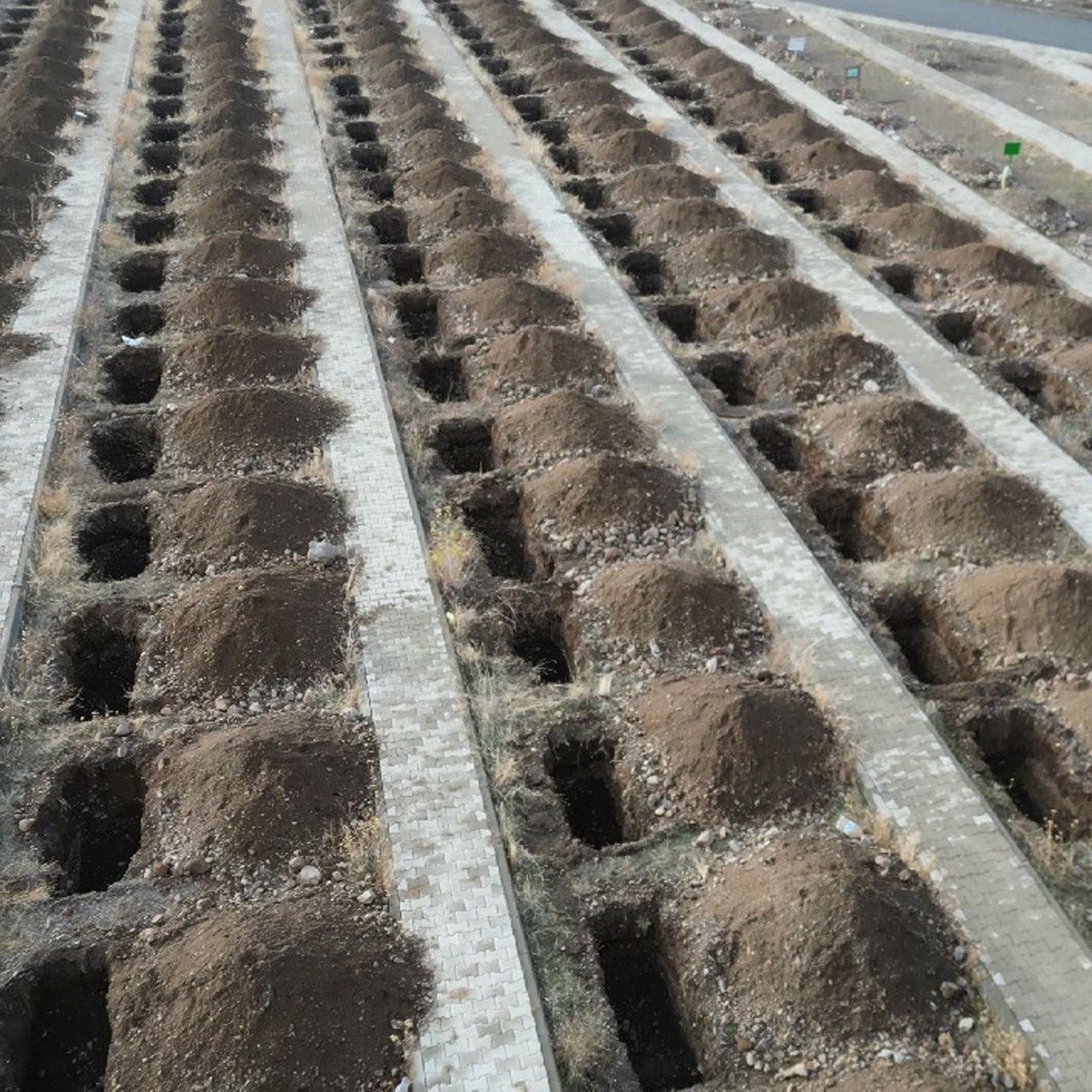 Erzurum’da 500 kışlık mezar kazıldı