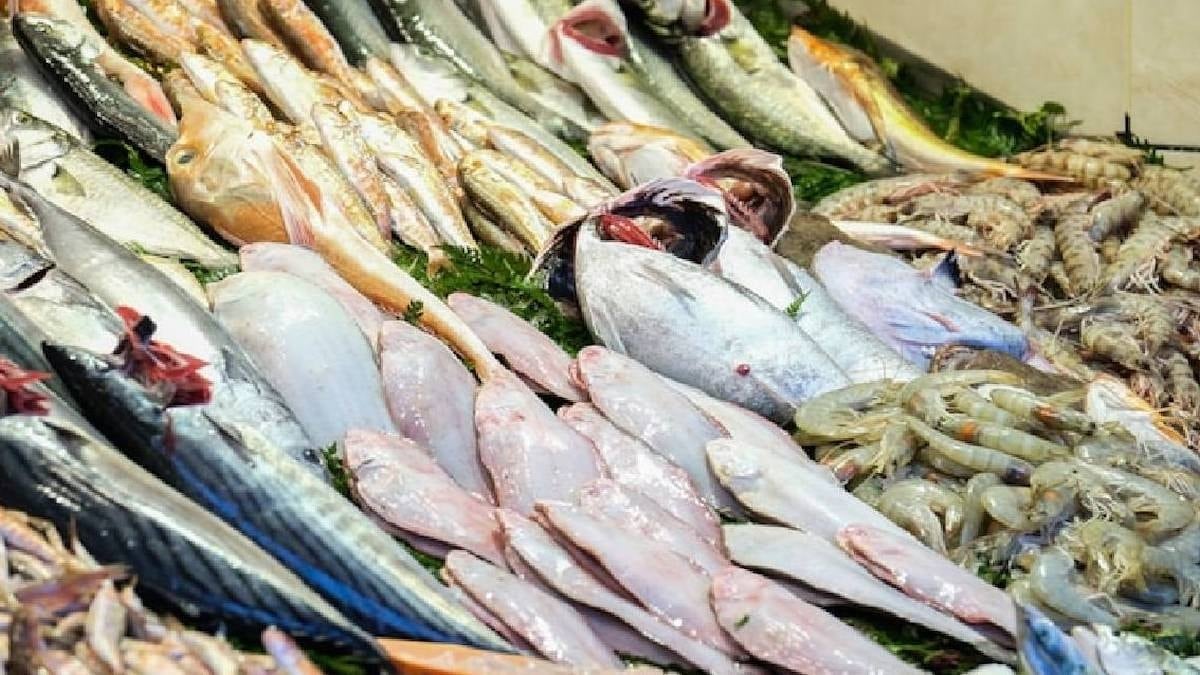 Hamsi, somon veya palamut değil: Kış aylarında B12 ve omega deposu bu balıklar tüketilmeli