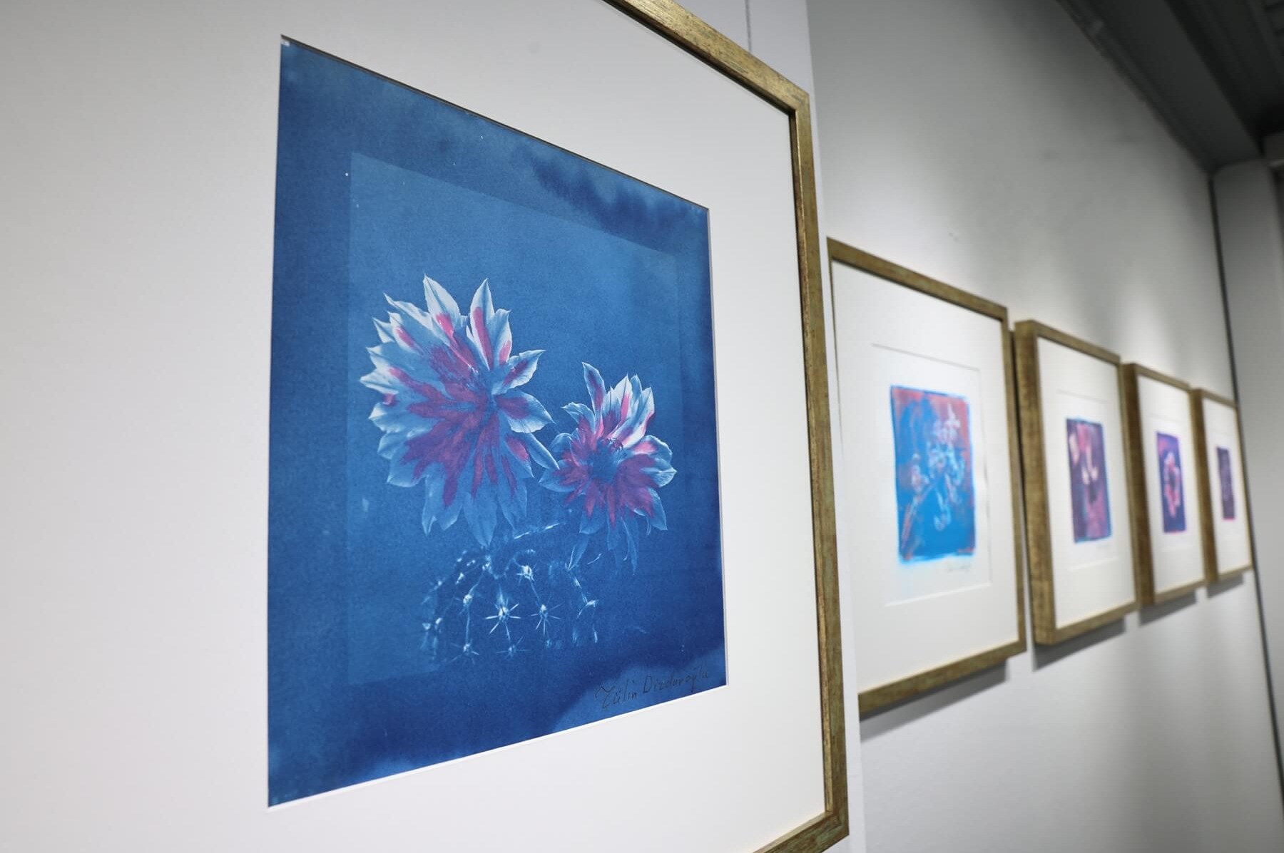 “Işığın İzi” sergisi Nilüfer’de