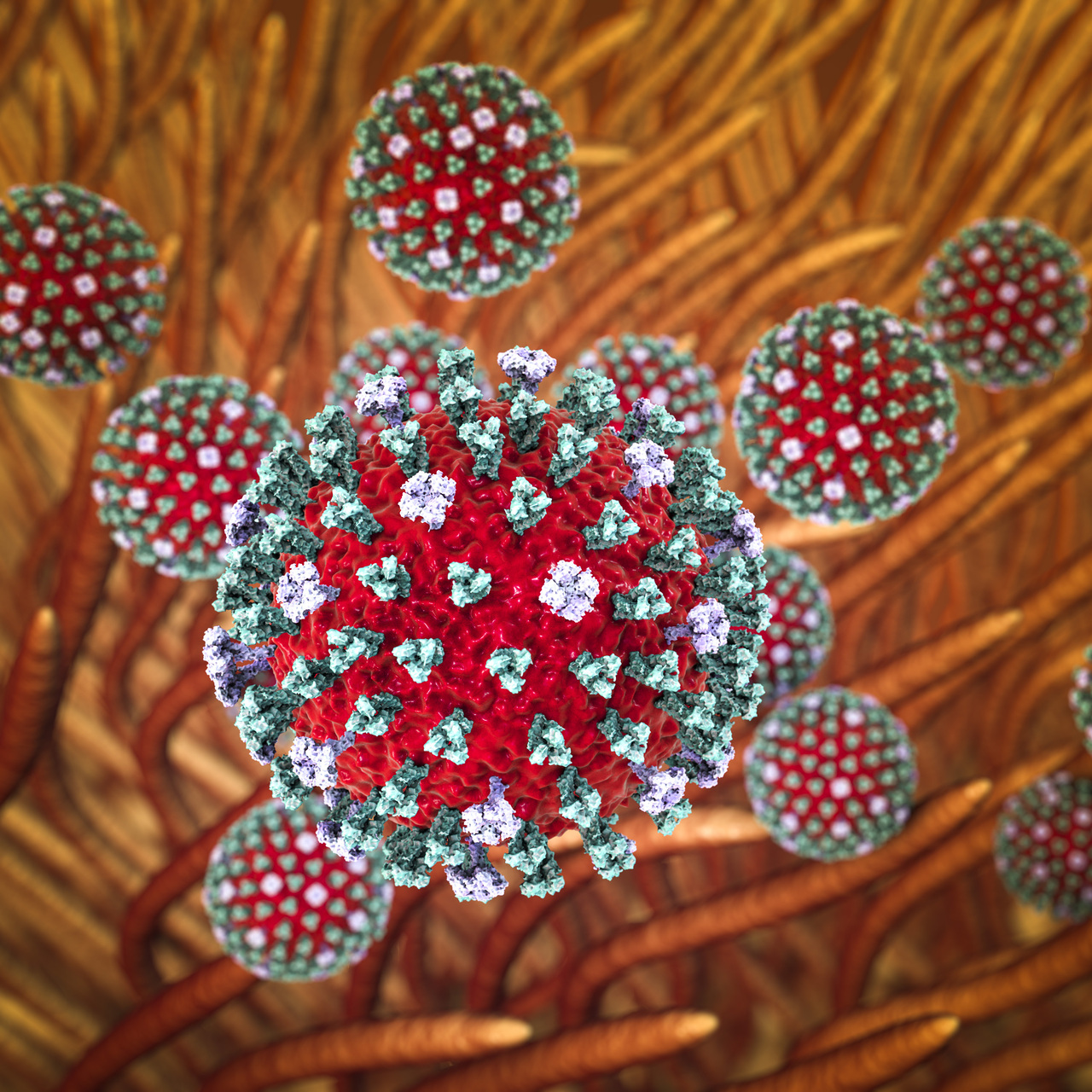 Kuzey Yarımküre’de ‘H3N2’ alarmı