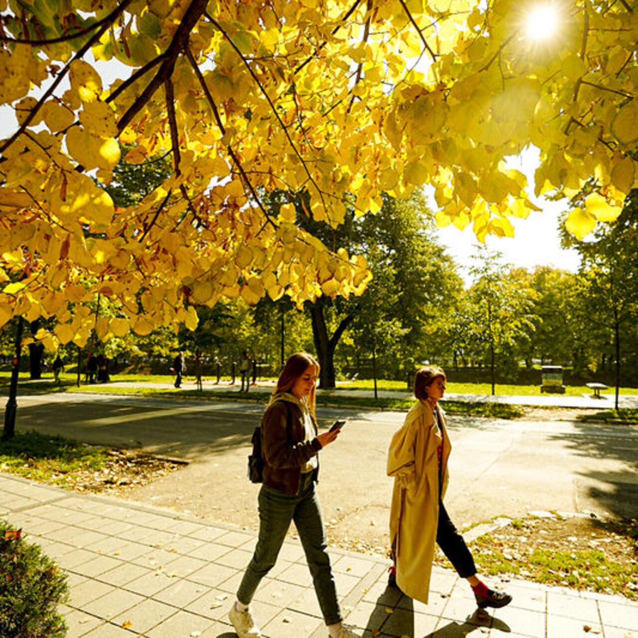 Meteoroloji’den iyi haber! Bahar gibi cumartesi!