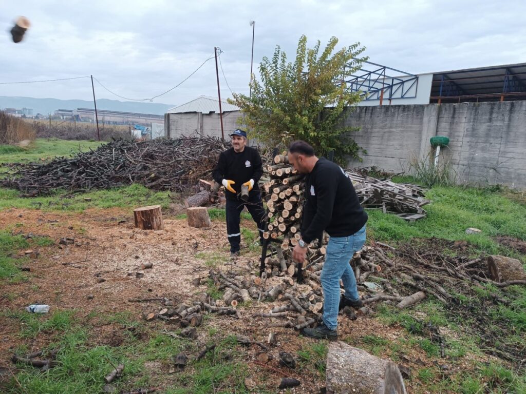 Orhangazi Belediyesi’nden Örnek Dayanışma: Budanan Ağaçlar Isıya Dönüşüyor