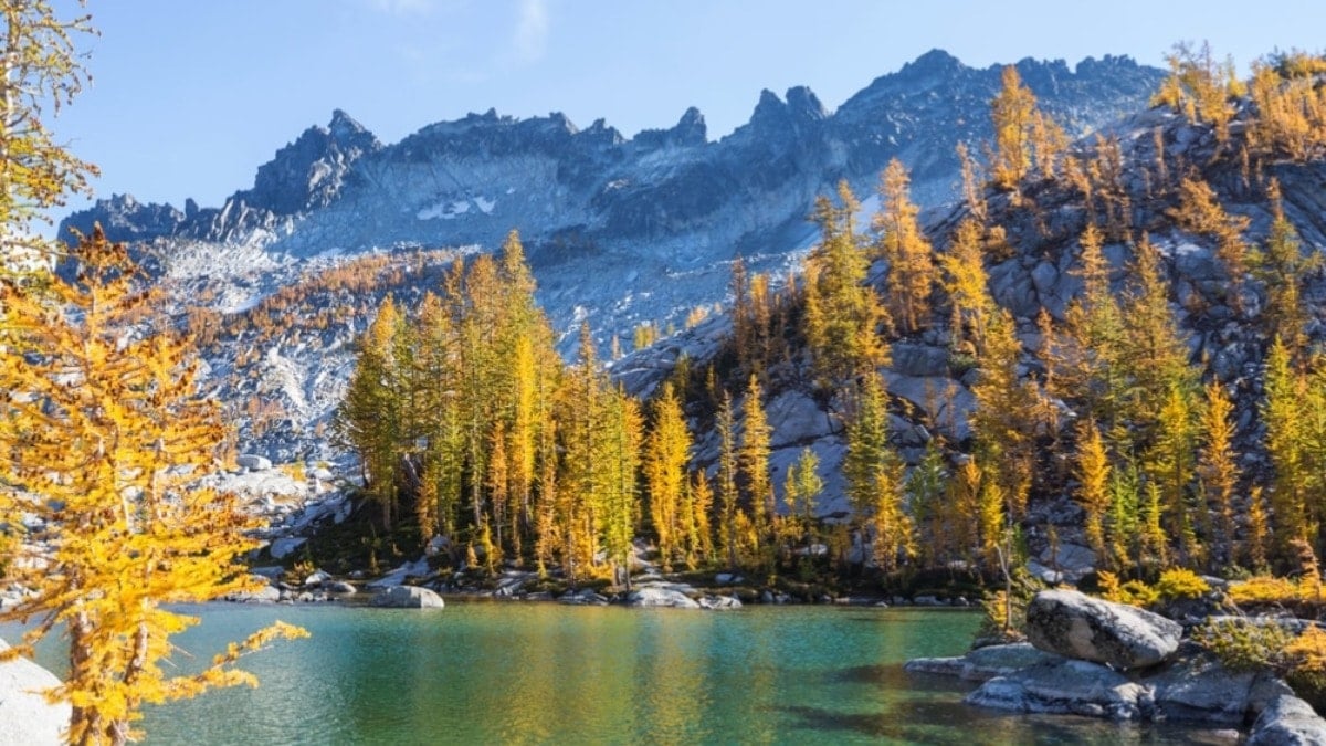 Sadece 20 dakikası bedeni sıfırlıyor