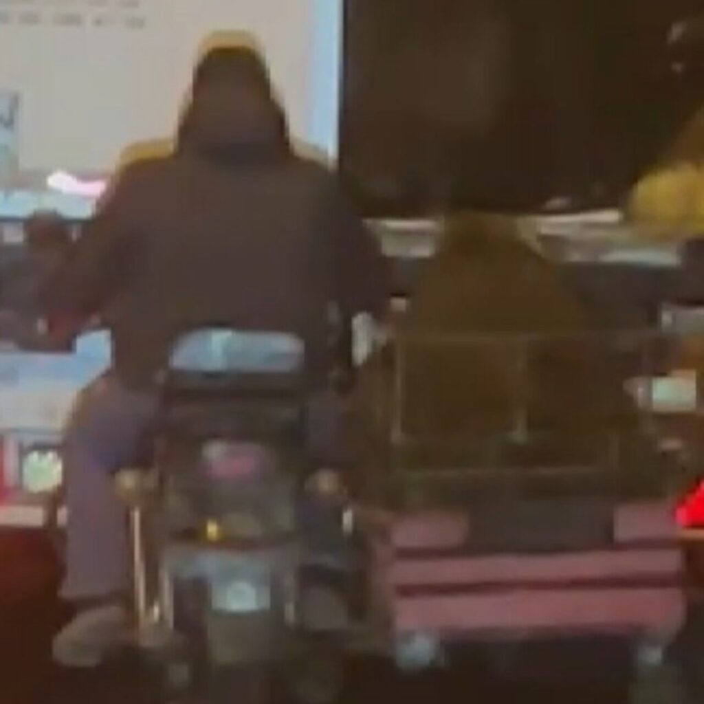 Seyir halindeki TIR’dan koyun çaldılar