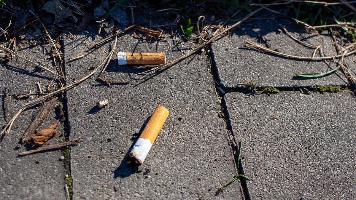 Sigara izmariti atana eşi benzeri görülmemiş ceza