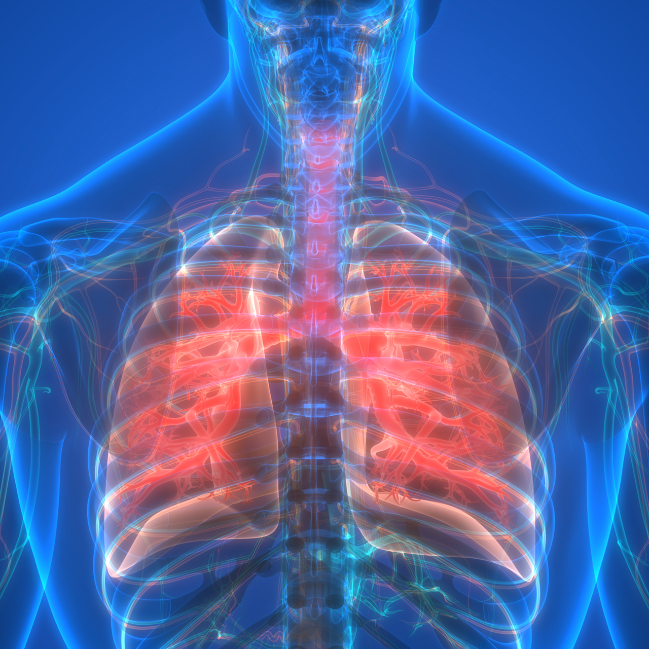 Sigaradan ve pasif içicilikten uzak durmak KOAH’tan koruyor