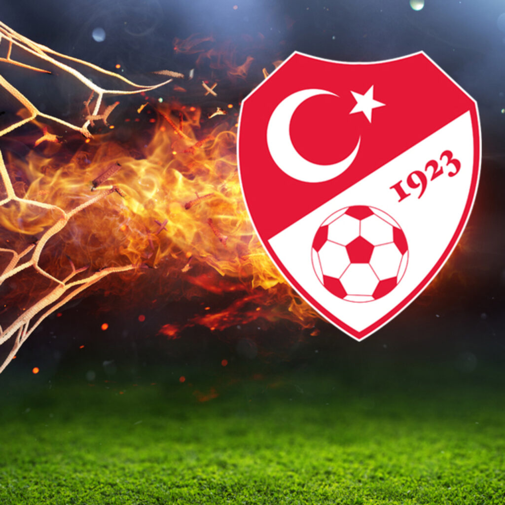 TFF’den Ersin Destanoğlu ve Necip Uysal kararı!