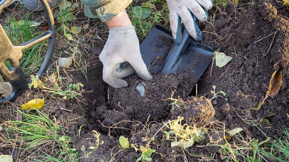 Toprağa kazmayı vuran evine servetle döndü: Define avında rekor kırıldı