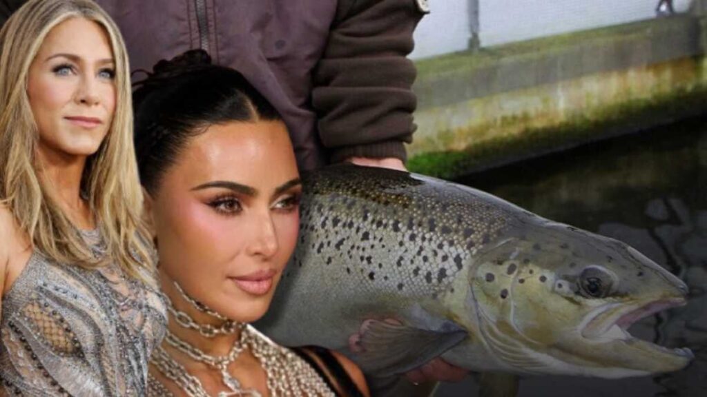 Ünlü isimlerin güzellik sırrı: İğneyle balık spermi enjeksiyonu