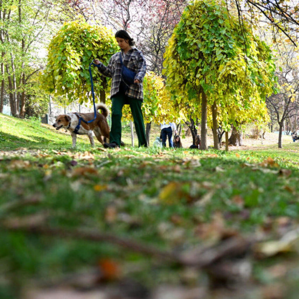 Yurt genelinde hava açık 2 bölgede sağanak!