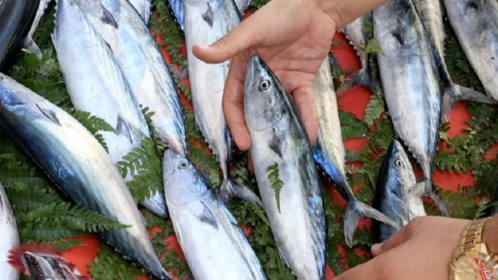 Zenginler yüzüne balık spermi enjekte etmeye başladı