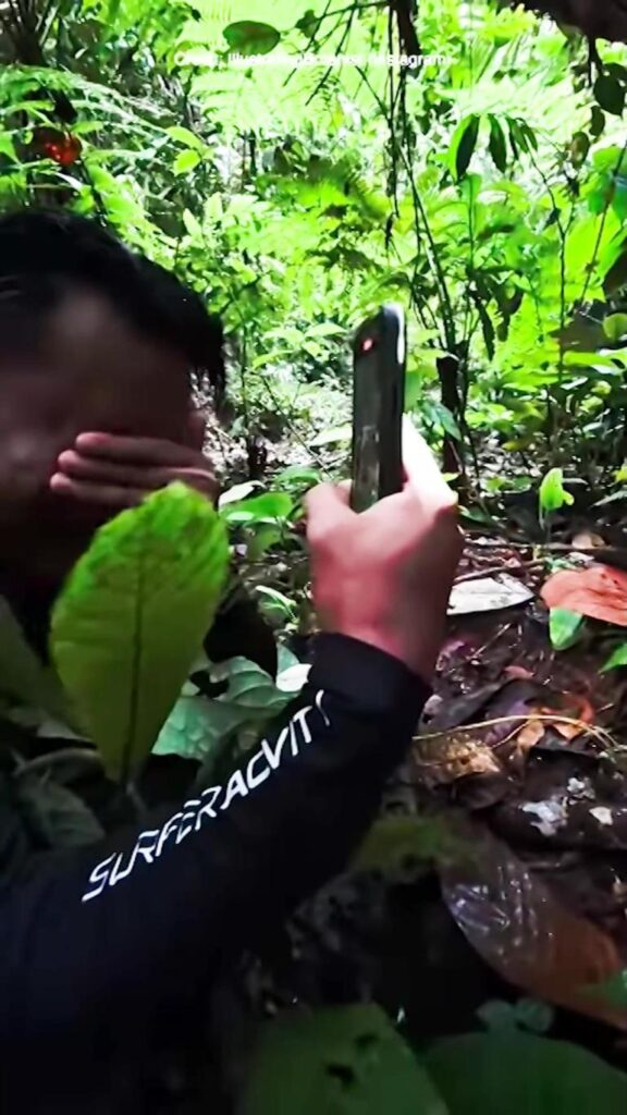 13 yıllık arayış gözyaşları ile son buldu: Nadir çiçeği bulunca önünde hıçkıra hıçkıra ağladı